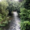 River Ravensbourne, London The river Ravensbourne at Ladywell fields