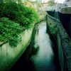 Exploring a little London river RavenbourneSLIDER