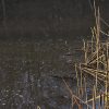 Accidental angling AccidentalSlider