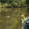 Surface tension for sun worshippers: chasing carp from the top Carp_SLIDER