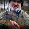 Fallon’s Angler 12: new film, Green and gold Perch_SLIDER