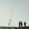 FILM: Solent Hounds, the dogs of war Film_SLIDER