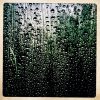Rain IMG_3591