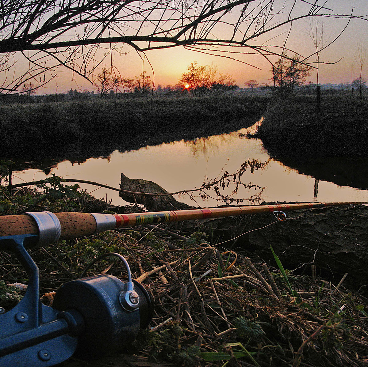 Mill Farm Fishery – Fallons Angler