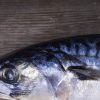 Parr’s Diary – July 2017: of mushrooms, mackerel and a quartet of carp Diary_SLIDER