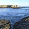A drinking Island with a fishing problem Bass_SLIDER