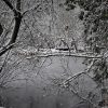 Parr’s Diary – A Change of Season? IMG_8610
