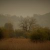 Parr’s Diary – Rodless IMG_8849