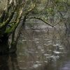 NEW PODCAST: Ramble on: episode 1. the lake at the end of the lane, by Kevin Parr Episode1_SLIDER